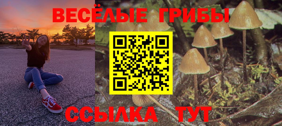 Галлюциногенные грибы мухоморы Сунжа