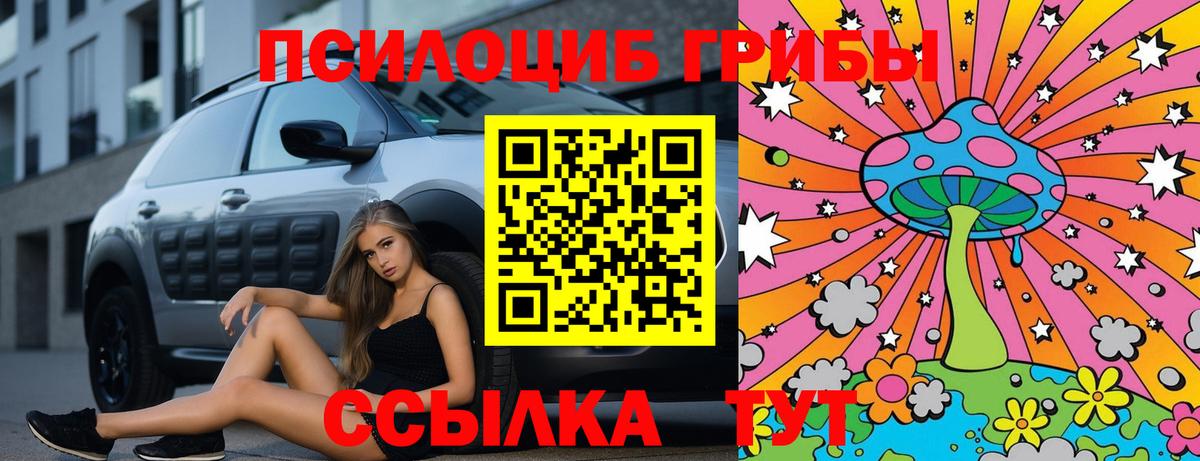 Галлюциногенные грибы Psilocybine cubensis  Псилоцибиновые грибы MAGIC MUSHROOMS  Вход с VPN  Сунжа 