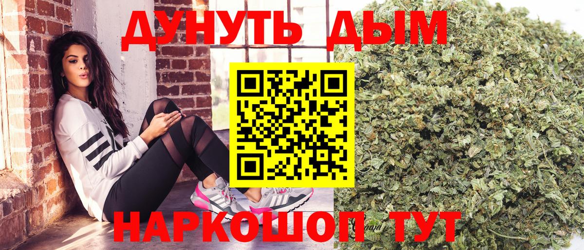 Каннабис AK-47  Вход с VPN  Канабис ГИДРОПОН  Сунжа 